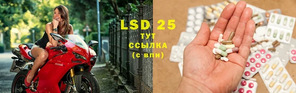 ГАЛЛЮЦИНОГЕННЫЕ ГРИБЫ Баксан