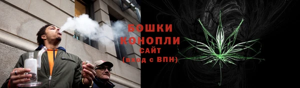 ГАЛЛЮЦИНОГЕННЫЕ ГРИБЫ Баксан