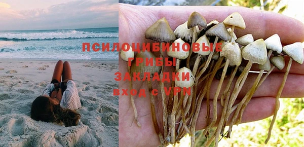 дурь Балахна