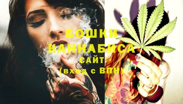 ГАЛЛЮЦИНОГЕННЫЕ ГРИБЫ Баксан