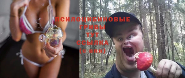 ГАЛЛЮЦИНОГЕННЫЕ ГРИБЫ Баксан