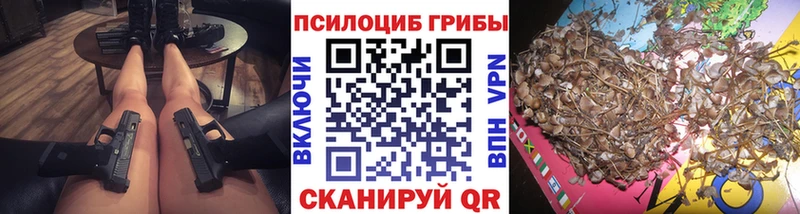 Галлюциногенные грибы Psilocybe  сколько стоит  даркнет как зайти  Буинск 